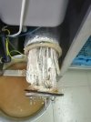 IMG_20200402_122045.jpg