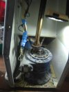 IMG_20200722_154229.jpg