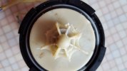 20170331_151756.jpg