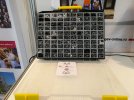IMG_20171011_174550.jpg