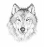 wolf2005i